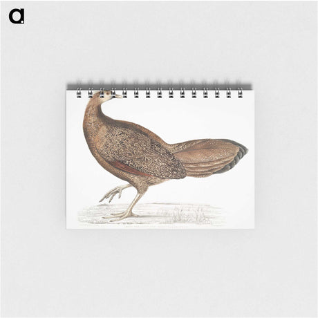 1-96_Indian-Zoology_memo