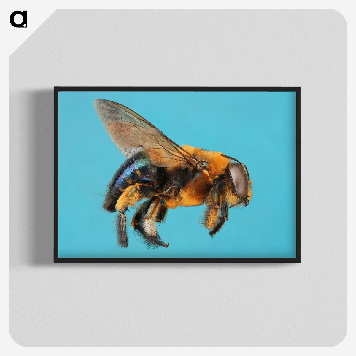 1-96_Insects-Unlocked-Project_blk-crop