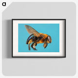 1-96_Insects-Unlocked-Project_blk