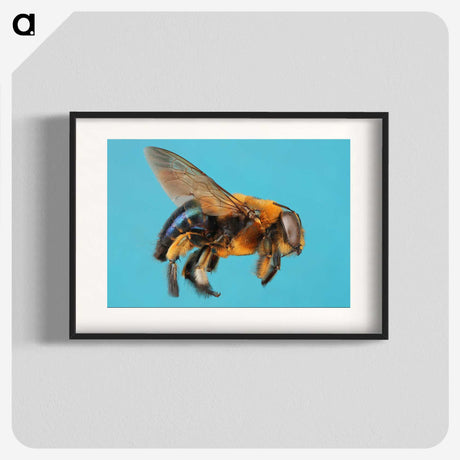 1-96_Insects-Unlocked-Project_blk