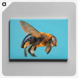 1-96_Insects-Unlocked-Project_canvas