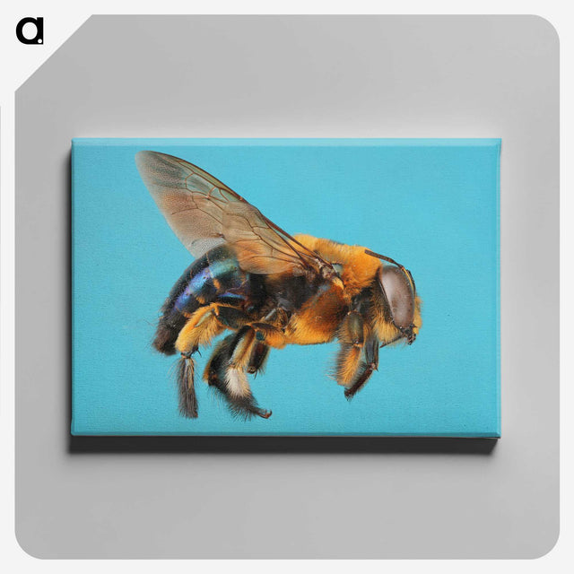 1-96_Insects-Unlocked-Project_canvas