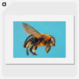 1-96_Insects-Unlocked-Project_picture