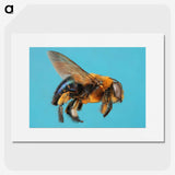 1-96_Insects-Unlocked-Project_picture