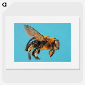 1-96_Insects-Unlocked-Project_picture