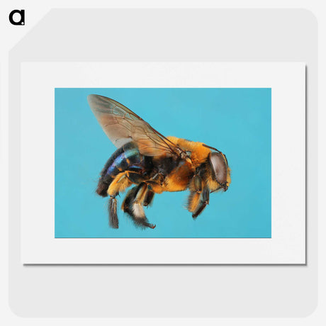 1-96_Insects-Unlocked-Project_picture