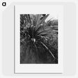 1-96_James-Walter-Chapman-Taylor_picture