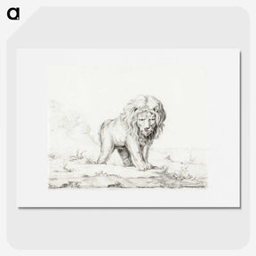 1-96_Jean-Bernard_picture