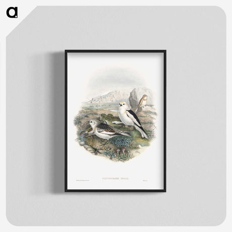 1-96_John-Gould_blk-crop