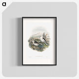 1-96_John-Gould_blk
