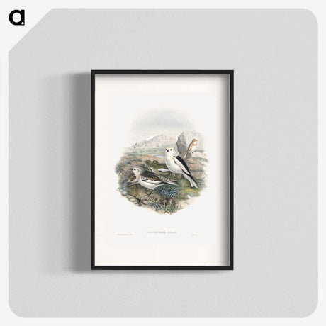 1-96_John-Gould_blk