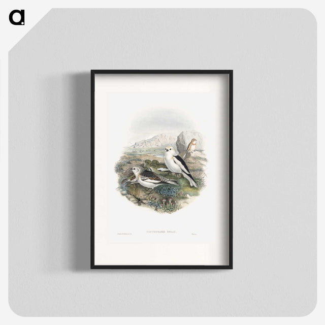 1-96_John-Gould_blk