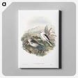 1-96_John-Gould_canvas