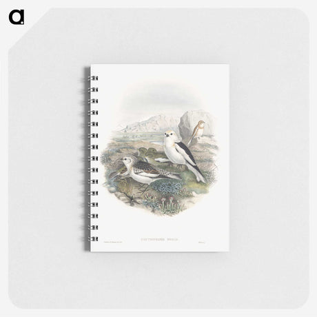 1-96_John-Gould_memo