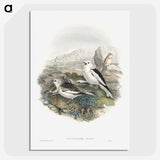 1-96_John-Gould_picture-crop