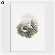 1-96_John-Gould_picture