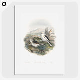 1-96_John-Gould_picture