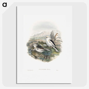 1-96_John-Gould_picture