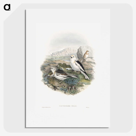 1-96_John-Gould_picture
