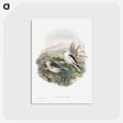 1-96_John-Gould_postcard