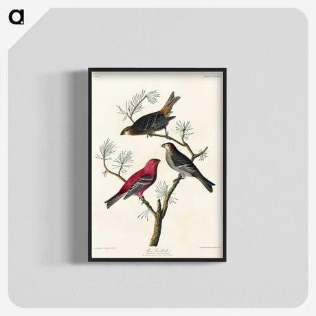 1-96_John-James-Audubon_blk-crop