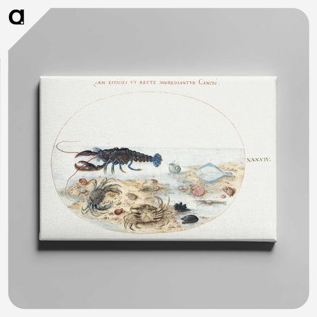 1-96_Joris-Hoefnagel_canvas