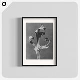 1-96_Karl-Blossfeldt_blk