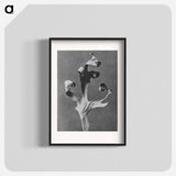 Silphium Laciniatum (Compass Plant) - カール ブロスフェルト Poster.