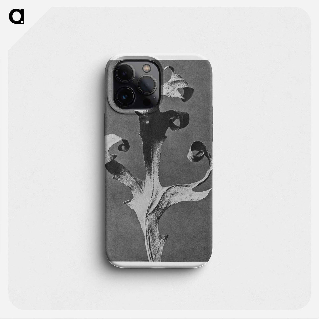 Silphium Laciniatum (Compass Plant) - Karl Blossfeldt Phone Case.