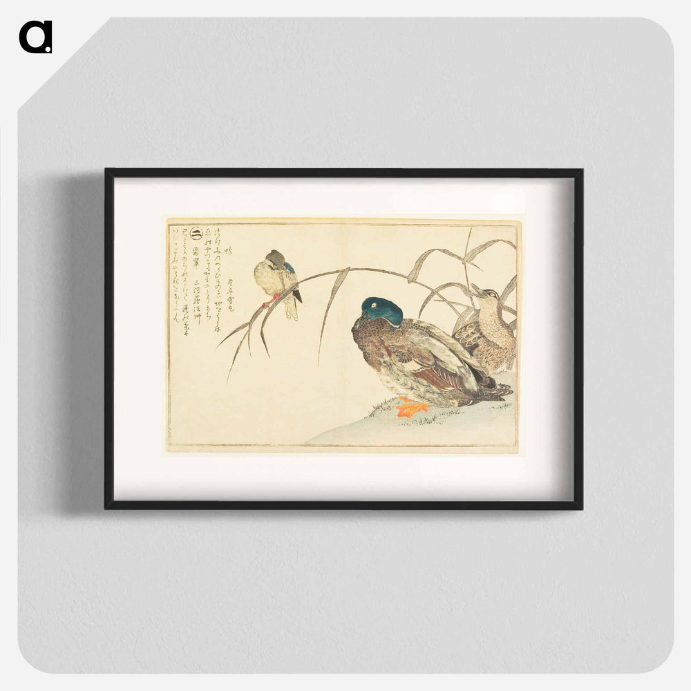 Mallards and a Kingfisher - 喜多川 歌麿 Poster.