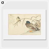 アートポスター-Mallards and a Kingfisher - 喜多川 歌麿 Poster.