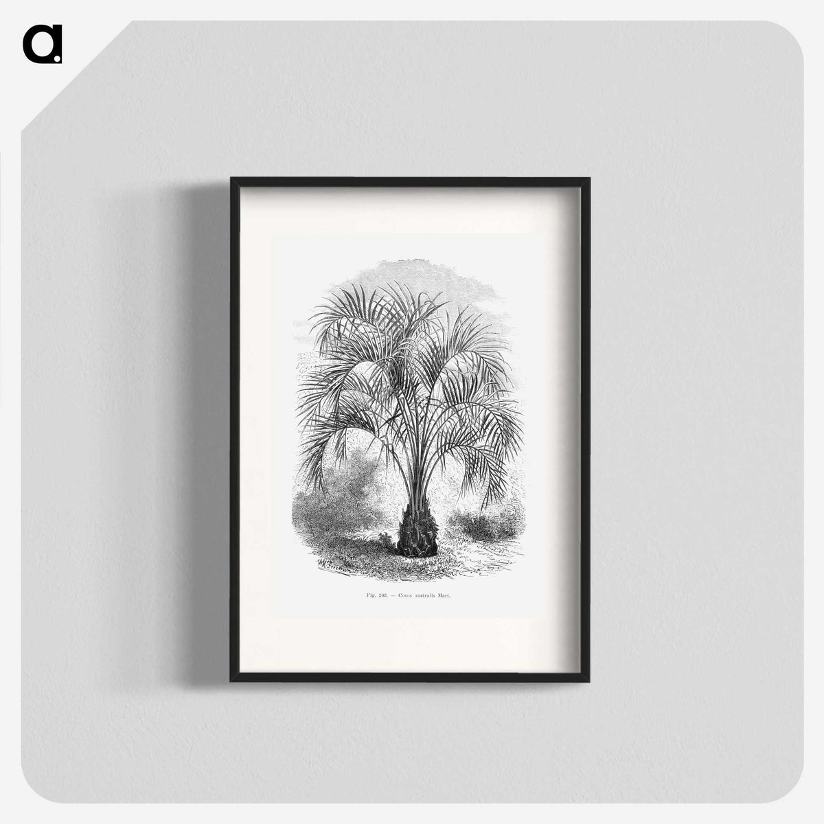 1-96_Les-Palmiers-Histoire-Iconographique_blk