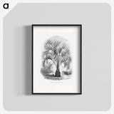 1-96_Les-Palmiers-Histoire-Iconographique_blk