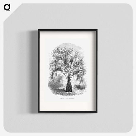 1-96_Les-Palmiers-Histoire-Iconographique_blk