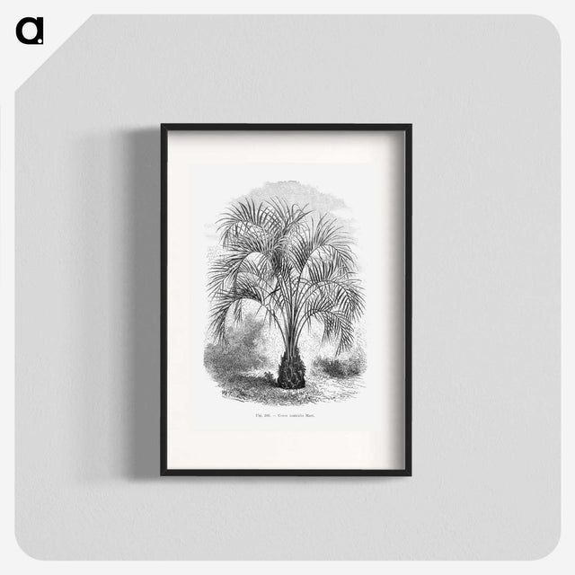 1-96_Les-Palmiers-Histoire-Iconographique_blk