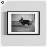 1-96_Leslie-Adkin_blk