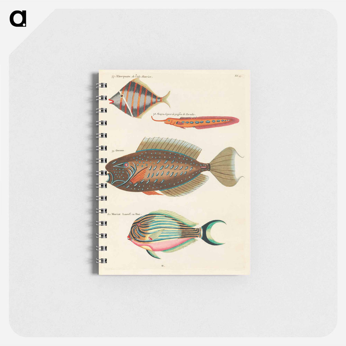 Moluccan Fishes
 - ルイ ルナール Memo.