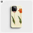 1-96_Maria-Sibylla-Merian_phone