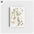 1-96_Mark-Catesby_memo