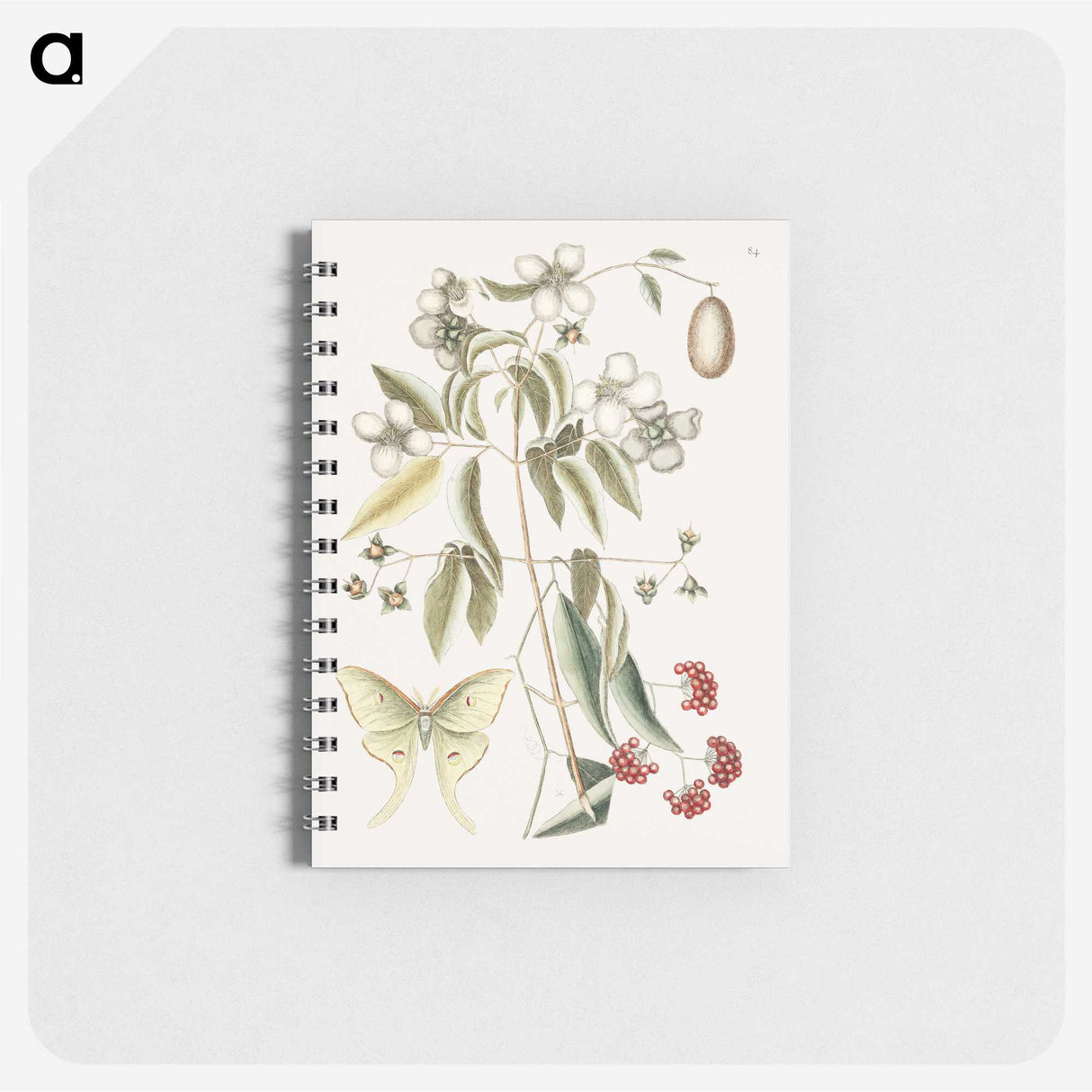 1-96_Mark-Catesby_memo
