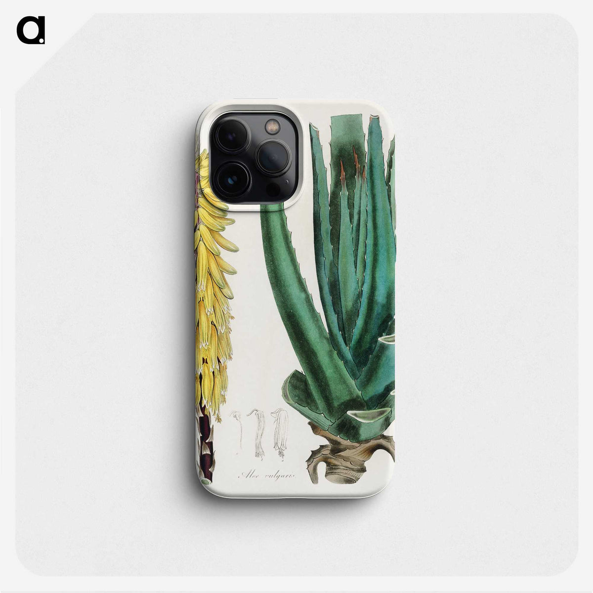 1-96_Medical-Botany_phone