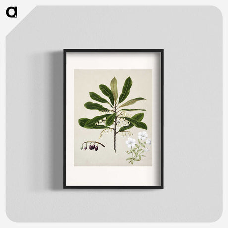 1-96_Native-Flowering-Plants-of-New-Zealand_blk