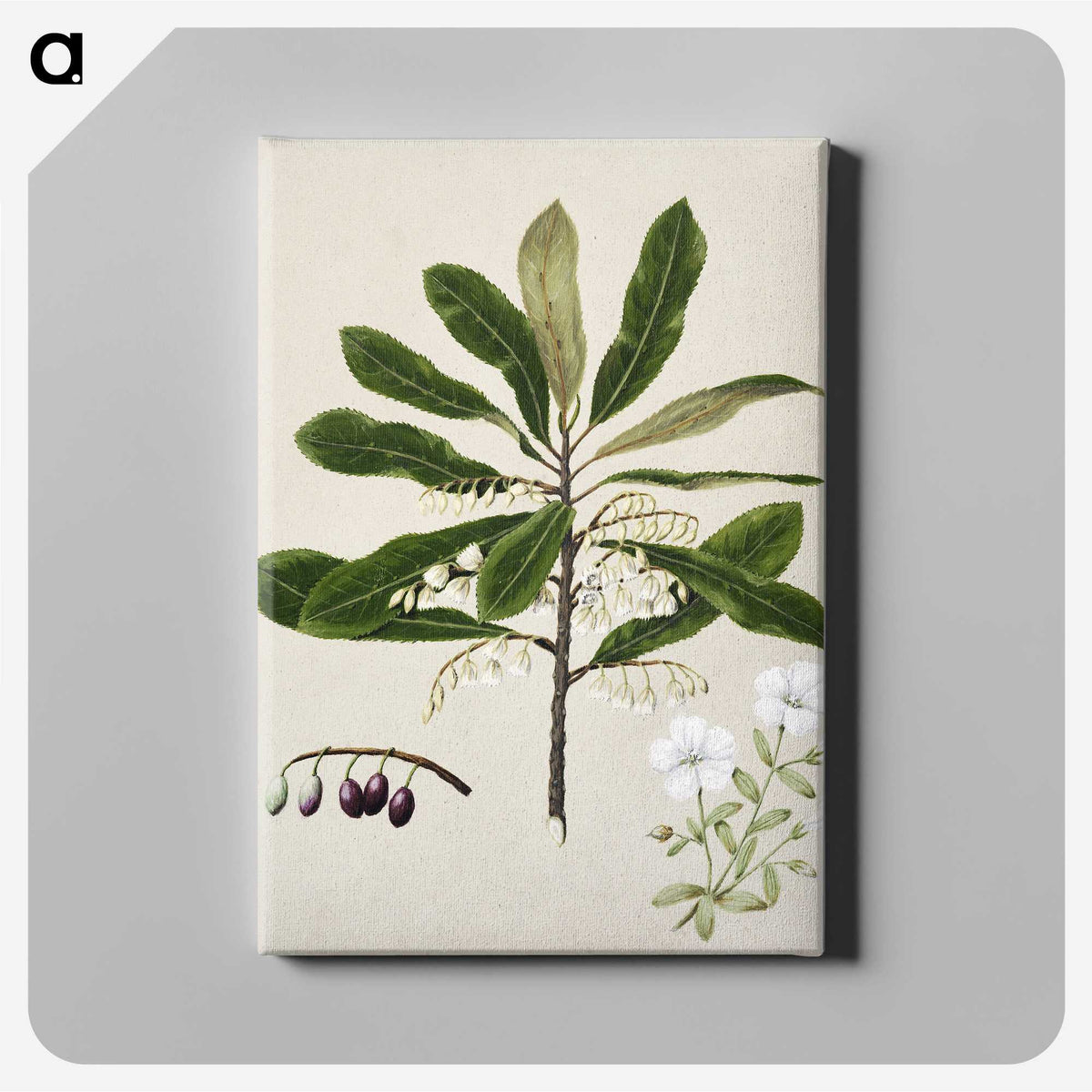 1-96_Native-Flowering-Plants-of-New-Zealand_canvas