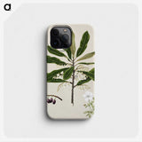 1-96_Native-Flowering-Plants-of-New-Zealand_phone