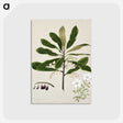 1-96_Native-Flowering-Plants-of-New-Zealand_postcard