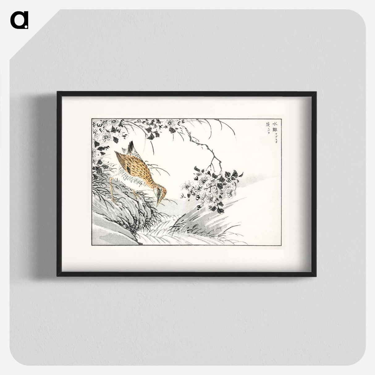 アートポスター-Common Sandpiper and Wild Rose
 - 鳥類図鑑 Poster.