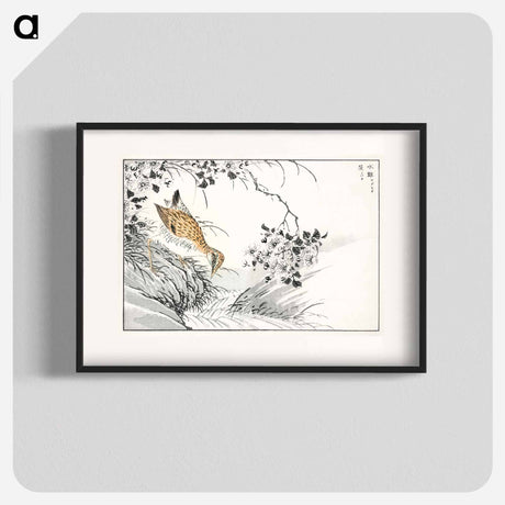 アートポスター-Common Sandpiper and Wild Rose
 - 鳥類図鑑 Poster.