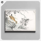 アートパネル-Common Sandpiper and Wild Rose
 - 鳥類図鑑 Canvas.