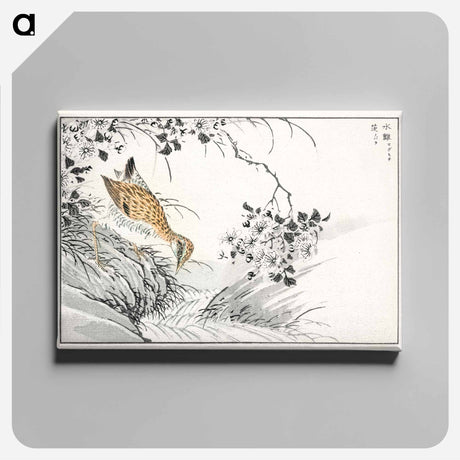 アートパネル-Common Sandpiper and Wild Rose
 - 鳥類図鑑 Canvas.