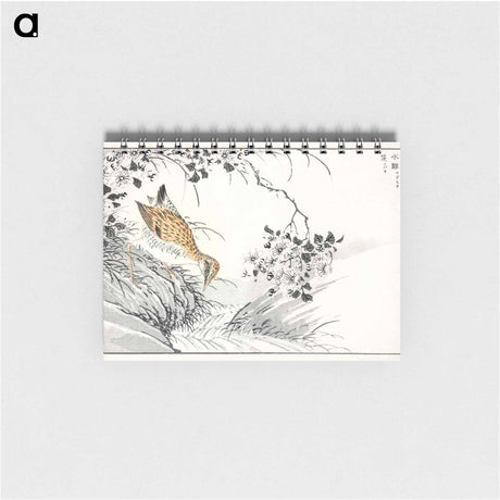 アートメモ帳-Common Sandpiper and Wild Rose
 - 鳥類図鑑 Memo.